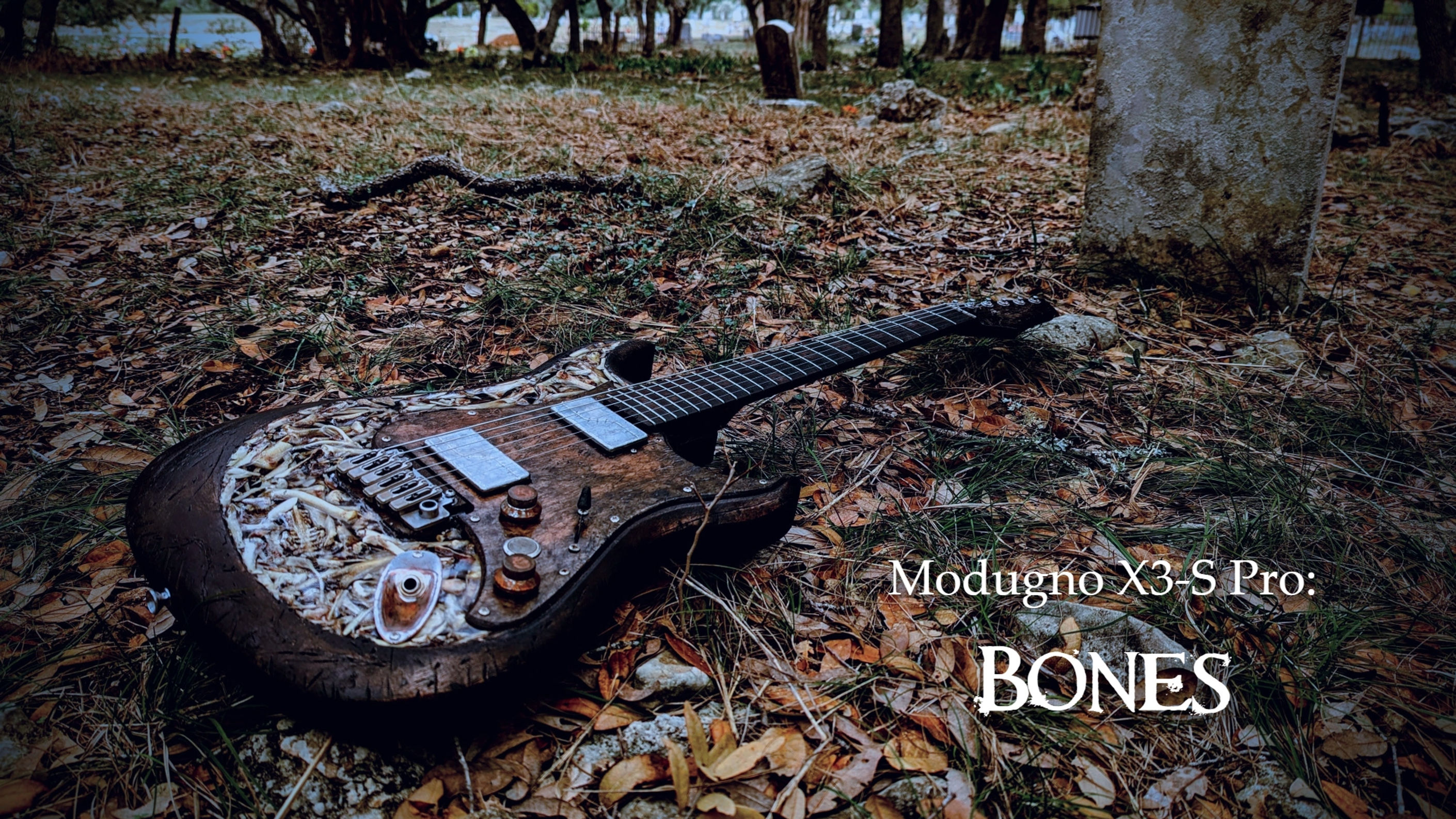 X3-S Pro: Bones_Showcasing